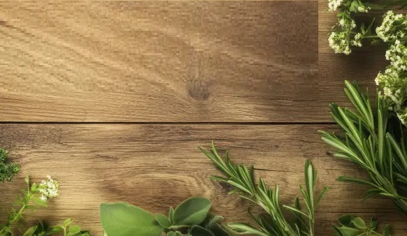 offer-banner